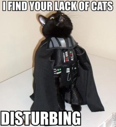 Darth Kitty: I find your lack of cats disturbing!