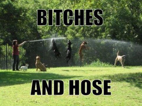 Bitches and Hose