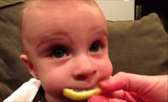 Funny baby boy eating a lemon